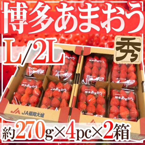 福岡産いちご ”博多あまおう” 秀品 L/2Lサイズ 約270g×4パック×《2箱》【予約 12月以降】 送料無料