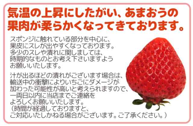 福岡産 博多 あまおういちご 等級g グランデ 4箱 8パック入り 1パック約270g 予約 12月 4月 送料無料の通販はau Pay マーケット くらし快援隊