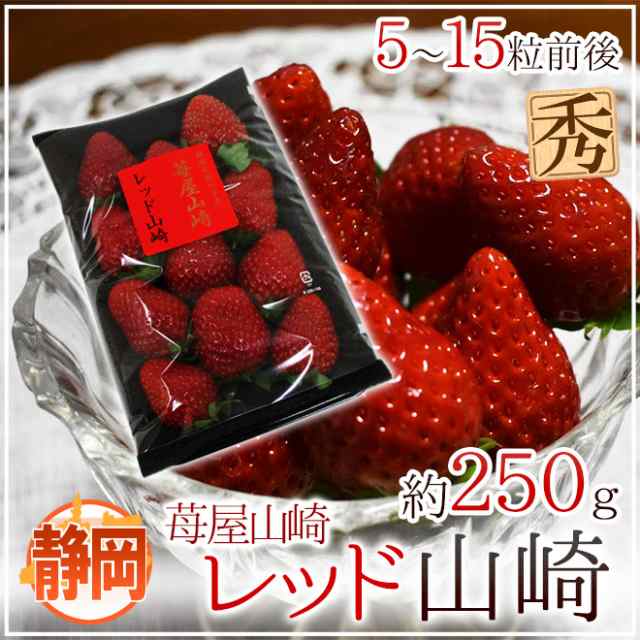 レッド山崎”　くらし快援隊　”苺屋山崎　7〜15粒前後　PAY　約250g　マーケット－通販サイト　au　12月下旬以降】　いちご【予約　送料無料の通販はau　マーケット　PAY　静岡県　秀品