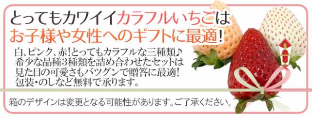 奈良県産 ”三色いちごセット” 2pc（1pcあたり9〜15粒前後 約250g）古都