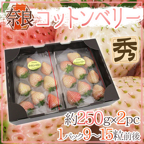 奈良県産 ”白いちご コットンベリー” 2pc（1pcあたり9〜15粒前後 約250g）【予約 1月下旬以降】 送料無料