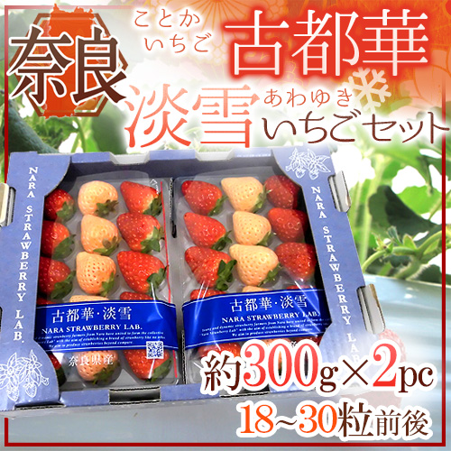 奈良県産 ”白いちご 淡雪いちご＋古都華いちご 二色いちご紅白セット” 2pc（1pcあたり9〜15粒前後 約300g）【予約 12月〜1月以降】 送料無料