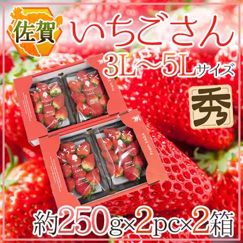 佐賀 いちごさん 秀品 3l 5lサイズ 約250g 2パック 2箱 化粧箱 予約 12月 4月 送料無料の通販はau Pay マーケット くらし快援隊