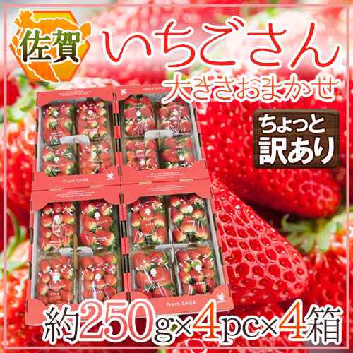 佐賀 ”いちごさん” ちょっと訳あり 約250g×4パック×《4箱》 大きさおまかせ【予約 12月以降】 送料無料