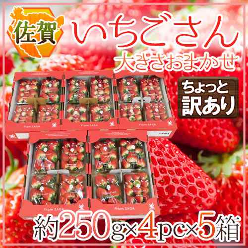 佐賀 ”いちごさん” ちょっと訳あり 約250g×4パック×《5箱》 大きさおまかせ【予約 12月以降】 送料無料