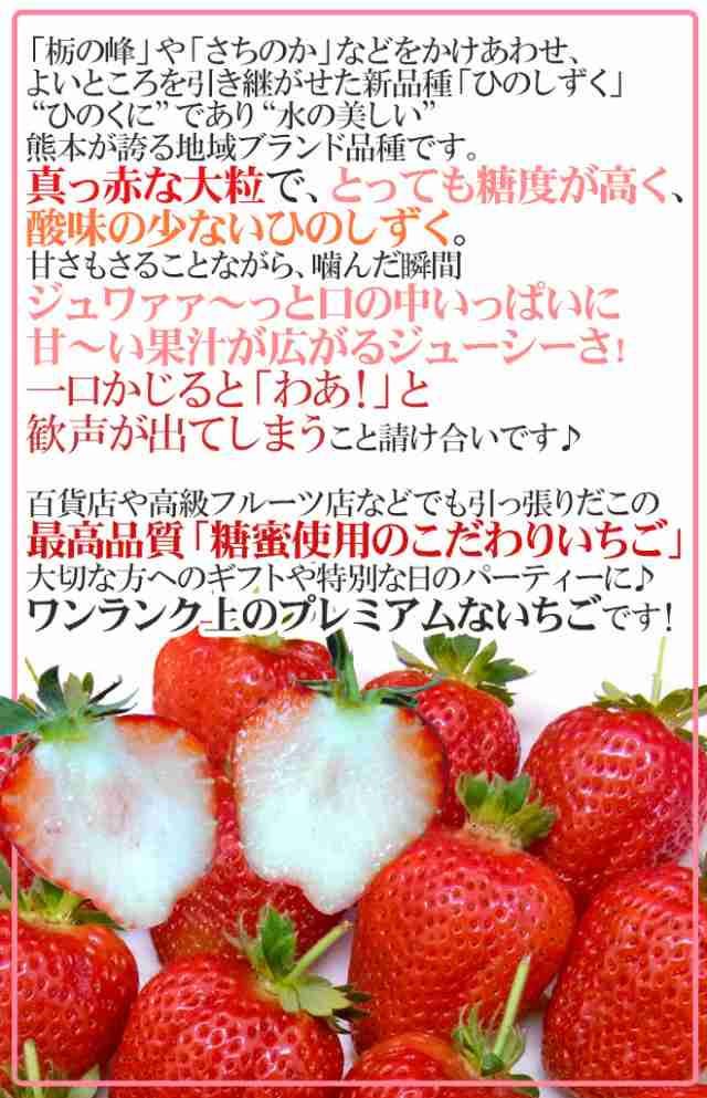 熊本県産 糖蜜使用のこだわりいちご ”ひのしずく きくちのまんま” 大粒