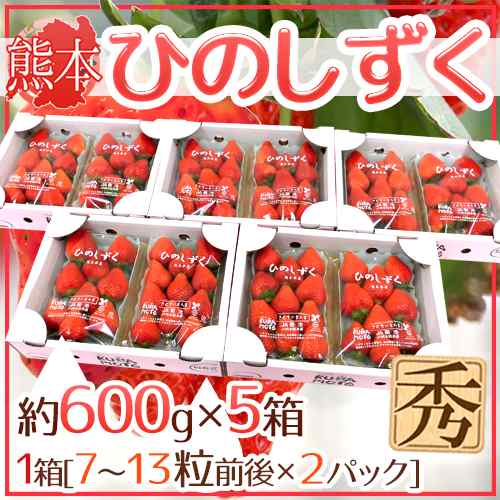 熊本県 ”ひのしずくいちご” 秀品 2パック入り（1パック 7〜13粒 約300g）×《5箱》【予約 12月以降】 送料無料