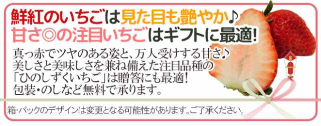 熊本県 ”ひのしずくいちご” 秀品 2パック入り（1パック 7〜13粒 約300g