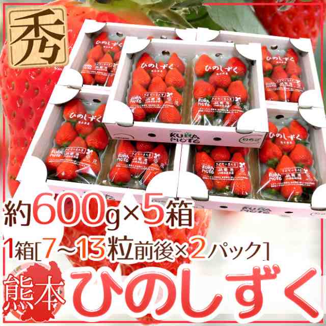 熊本県 ”ひのしずくいちご” 秀品 2パック入り（1パック 7〜13粒 約300g