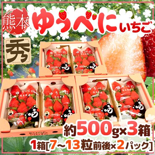 熊本県 ”ゆうべにいちご（熊紅いちご）” 秀品 2パック入り（1パック 7〜13粒 約250g）×《3箱》【予約 12月以降】 送料無料