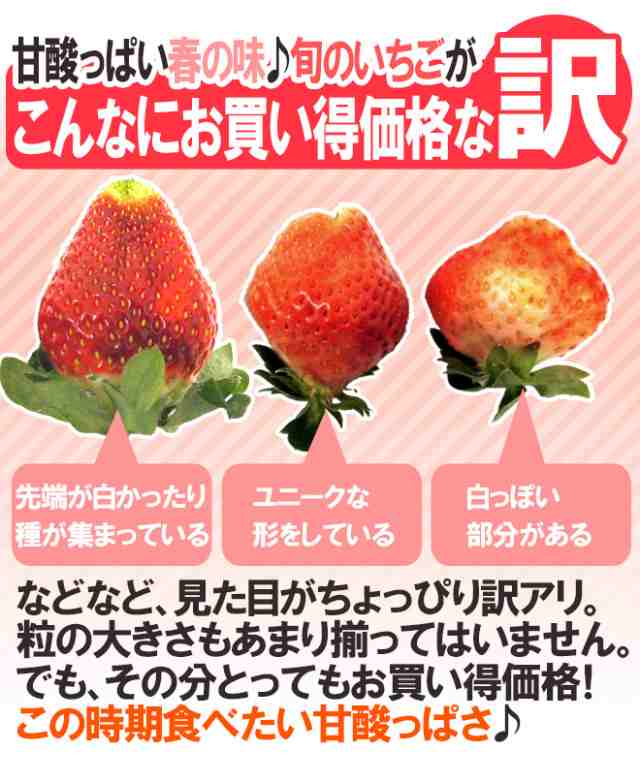 いちご 約1kg 訳あり 品種 大きさおまかせ 産地厳選 さちのか 紅ほっぺ あまおう 等 2週間以内の発送 送料無料の通販はau Pay マーケット くらし快援隊