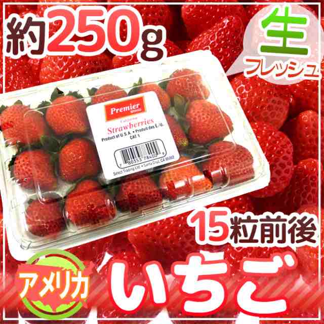 アメリカ産 ”いちご” 15粒前後 約250g【予約 6月下旬以降】の通販はau PAY マーケット - くらし快援隊