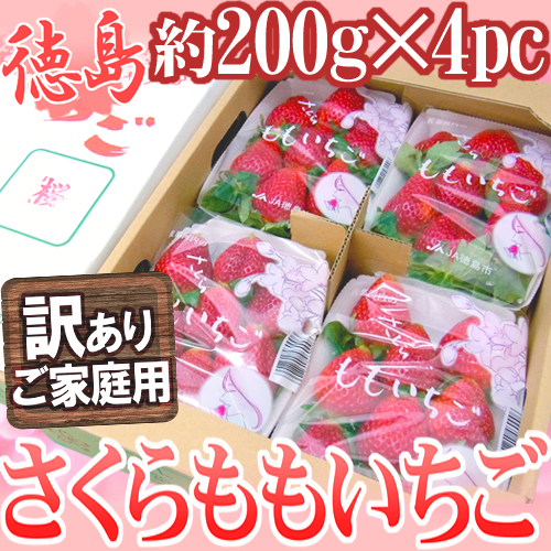 【お届け日指定可能】徳島県佐那河内 ”さくらももいちご” 約200g×4パック 訳あり ご家庭用 送料無料