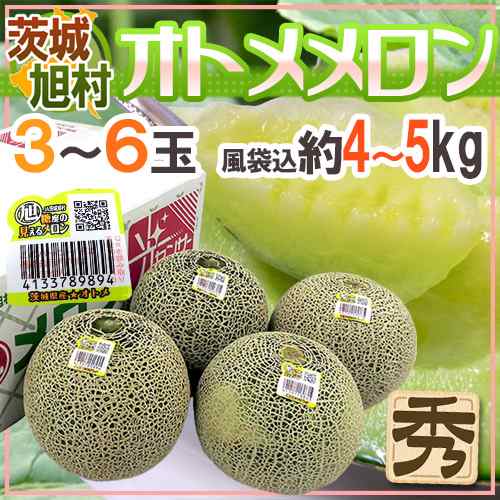 茨城県旭村 ”オトメメロン” 秀品 3〜6玉 風袋込約4〜5kg 送料無料