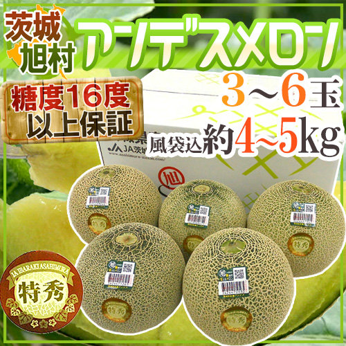 JA茨城旭村 ”アンデスメロン” 特秀品 3〜6玉 風袋込約4〜5kg【予約 5月末以降】 送料無料