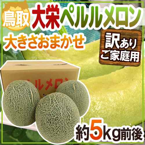 鳥取県 大栄ペルルメロン 訳あり 約5kg 大きさおまかせ 予約 6月下旬以降 送料無料の通販はau Pay マーケット くらし快援隊