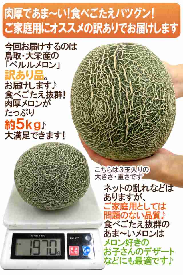 鳥取県 大栄ペルルメロン 訳あり 約5kg 大きさおまかせ 予約 6月下旬以降 送料無料の通販はau Pay マーケット くらし快援隊