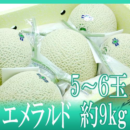 高知県夜須産 ”エメラルドメロン” 大玉 5〜6玉 約9kg以上【予約 入荷次第発送】 送料無料