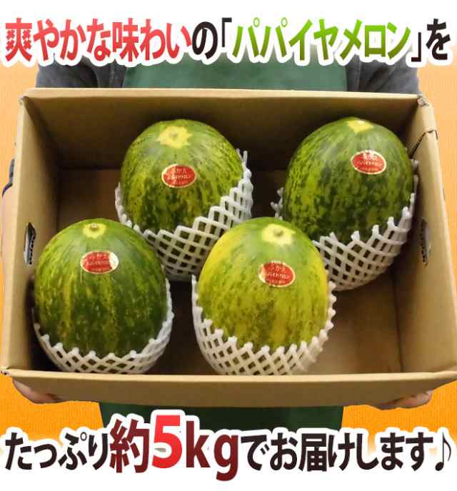 残りわずか！長崎県島原半島産パパイヤメロン７玉入