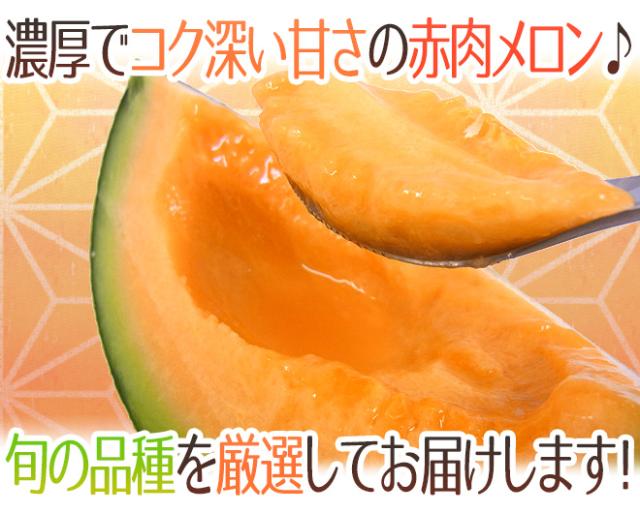 送料無料 赤肉メロン 訳あり 風袋込約5kg 大きさおまかせ 産地厳選 クインシーメロン ルピアレッドメロンなど 予約 6月中旬以降の通販はau Pay マーケット くらし快援隊