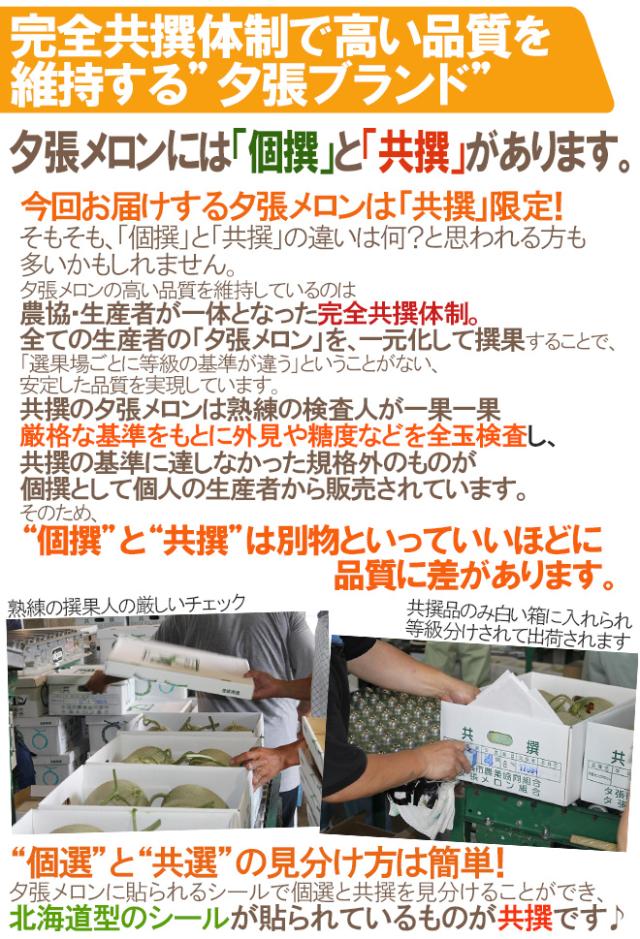 【早期発送・一番成り】北海道 ”夕張メロン” 共撰・秀品限定 4〜6玉 約8kg 専用産地箱【予約 5月末以降】 送料無料_5