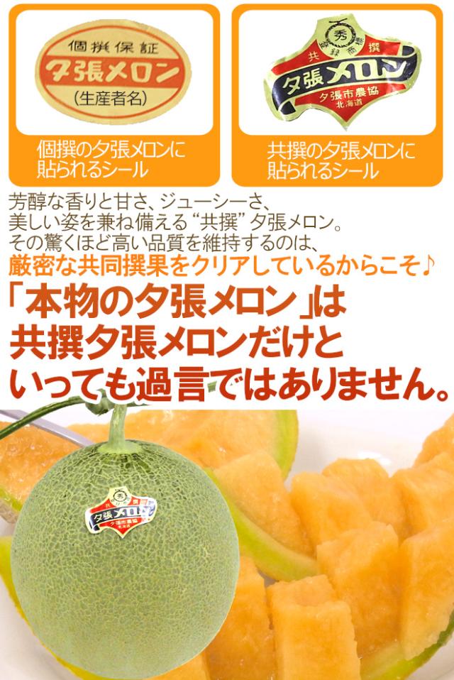 【早期発送・一番成り】北海道 ”夕張メロン” 共撰・秀品限定 4〜6玉 約8kg 専用産地箱【予約 5月末以降】 送料無料_6