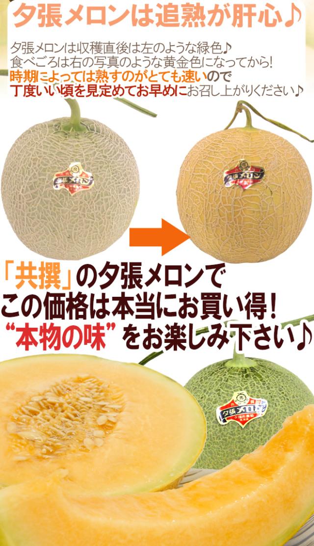 【早期発送・一番成り】北海道 ”夕張メロン” 共撰・秀品限定 4〜6玉 約8kg 専用産地箱【予約 5月末以降】 送料無料_9