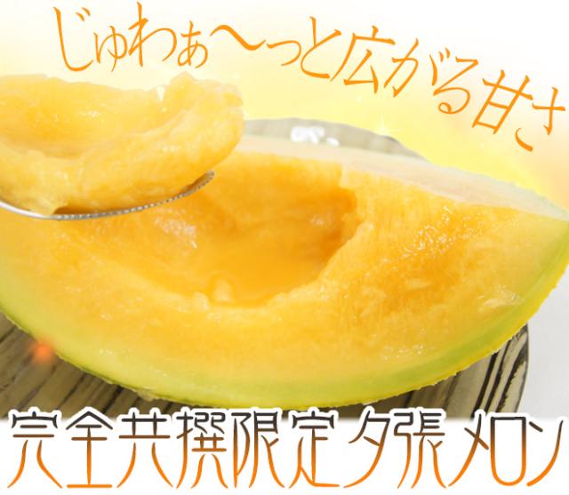 北海道 ”夕張メロン” 共撰・優品 4〜6玉 約8kg【予約 7月中下旬以降】 送料無料_1