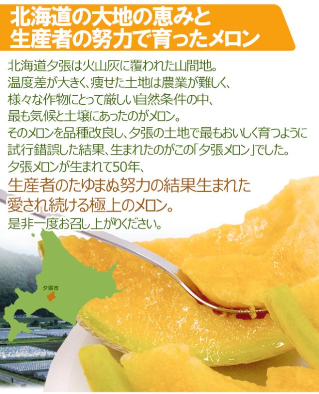 北海道 ”夕張メロン” 共撰・優品 4〜6玉 約8kg【予約 7月中下旬以降】 送料無料_2