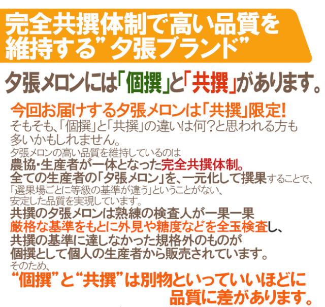 北海道 ”夕張メロン” 共撰・優品 4〜6玉 約8kg【予約 7月中下旬以降】 送料無料_3