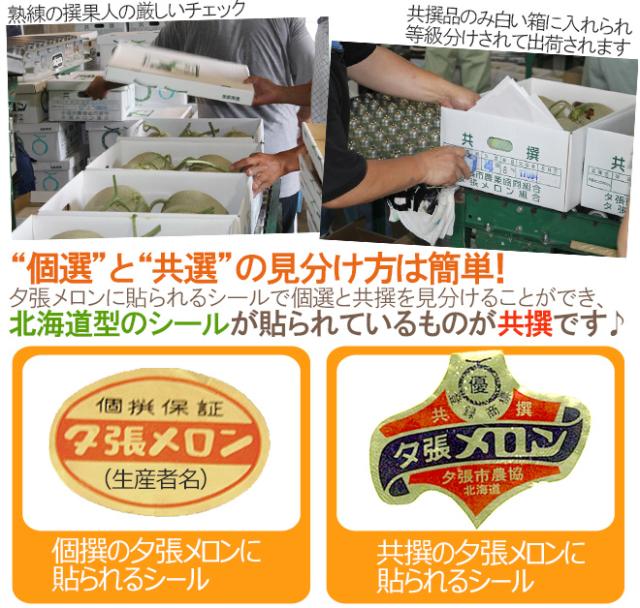 北海道 ”夕張メロン” 共撰・優品 4〜6玉 約8kg【予約 7月中下旬以降】 送料無料_4