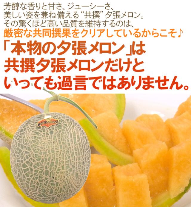 北海道 ”夕張メロン” 共撰・優品 4〜6玉 約8kg【予約 7月中下旬以降】 送料無料_5