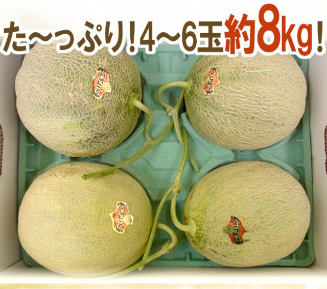 北海道 ”夕張メロン” 共撰・優品 4〜6玉 約8kg【予約 7月中下旬以降】 送料無料_8