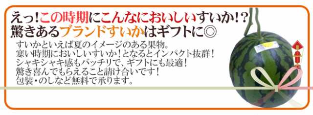 高知県夜須町 温室スイカ ”ルナピエナ” 3～5玉 約10kg【予約 10月中旬以降】 送料無料の通販はau PAY マーケット - くらし快援隊