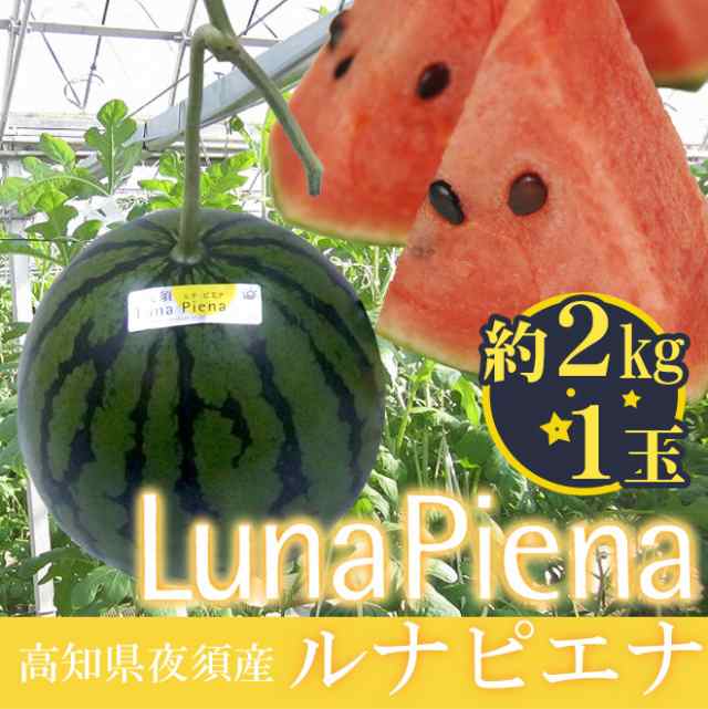 高知県夜須町 温室スイカ ”ルナピエナ” 1玉 約2kg《3玉購入で送料無料