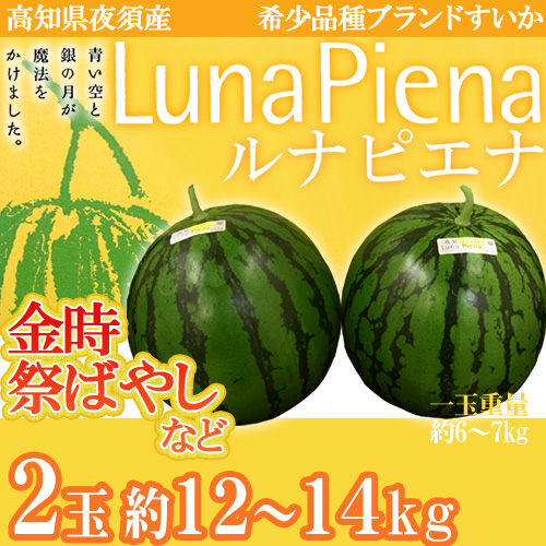 高知県夜須町 ”ルナピエナ” 2玉 約12〜14kg 化粧箱入り 金時、祭ばやしなど【予約 5月下旬以降】 送料無料