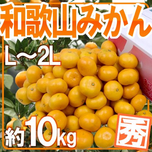 ”和歌山みかん” 秀品 L〜2Lサイズ 約10kg【予約 11月末以降】 送料無料の通販は 6,980円