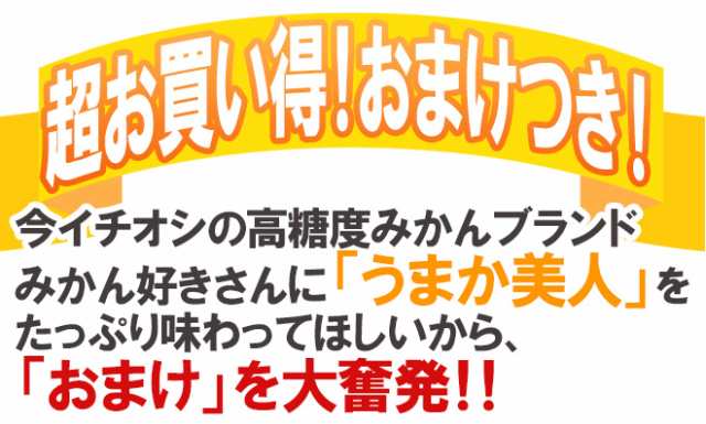 佐賀県 JAからつ ”うまか美人みかん” 2S/3Sサイズ 約2kg《2箱購入で1kgおまけ、3箱購入で4kgおまけ》【予約 11月中旬以降】  送料無料の通販はau PAY マーケット - くらし快援隊