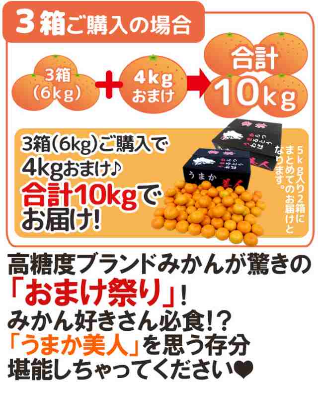 佐賀県 JAからつ ”うまか美人みかん” 2S/3Sサイズ 約2kg《2箱購入で1kgおまけ、3箱購入で4kgおまけ》【予約 11月中旬以降】  送料無料の通販はau PAY マーケット - くらし快援隊