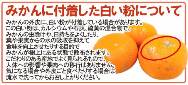 約5kg　秀品　11月末以降】　”田村みかん”　PAY　PAY　マーケット　くらし快援隊　au　マーケット－通販サイト　和歌山有田産　産地箱【予約　S〜M　送料無料の通販はau