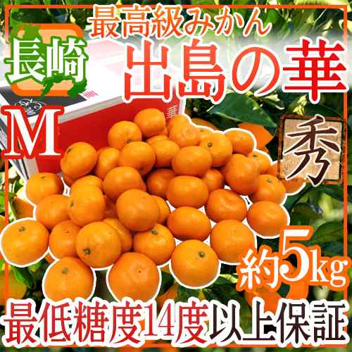 長崎産 ”出島の華” 秀品 Mサイズ 約5kg【予約 12月中旬以降】