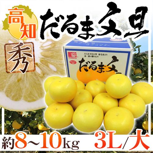 高知・宿毛産 ”だるま文旦” 秀品 超大玉 3L〜大サイズ 約8〜10kg【予約 2月以降】 送料無料