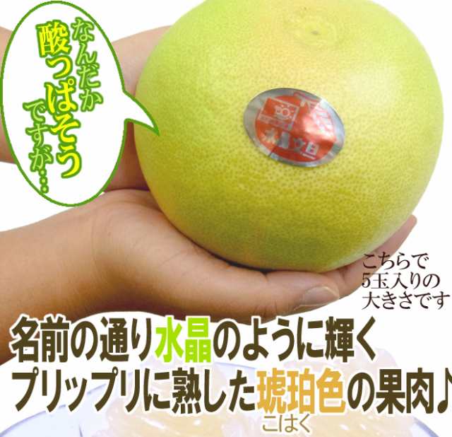 土佐高知 ”水晶文旦” 秀品 大玉5〜7玉 約3kg【予約 10月以降】 送料無料の通販はau PAY マーケット くらし快援隊 au PAY マーケット-通販サイト