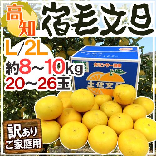 高知産 土佐文旦 ”宿毛文旦” 訳あり L〜2Lサイズ 約8〜10kg 産地箱【予約 2月以降】 送料無料の通販は 6,666円