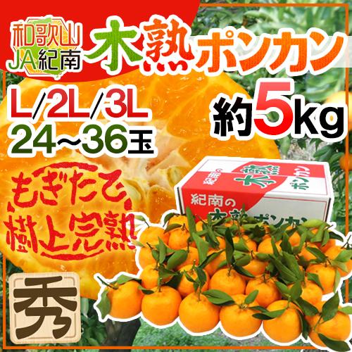 和歌山産 JA紀南 ”木熟ポンカン” 秀品 L/2L/3L 24〜36玉 約5kg ぽんかん【予約 1月中旬以降】 送料無料 5,111円