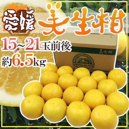 愛媛県 ”美生柑（みしょうかん）” 秀/優品 15〜21玉前後 約6.5kg【予約 4月以降】 送料無料
