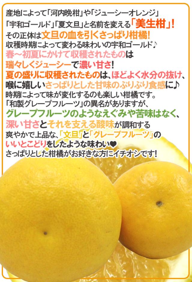 愛媛県 ”美生柑（みしょうかん）” 秀/優品 15〜21玉前後 約6.5kg【予約 4月以降】 送料無料