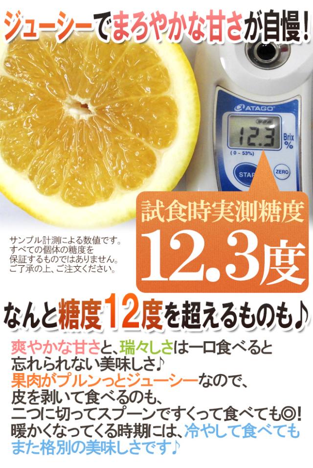 愛媛県 ”美生柑（みしょうかん）” 秀/優品 15〜21玉前後 約6.5kg【予約 4月以降】 送料無料