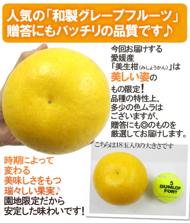 愛媛県 ”美生柑（みしょうかん）” 秀/優品 15〜21玉前後 約6.5kg【予約 4月以降】 送料無料