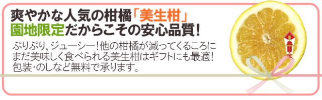 愛媛県 ”美生柑（みしょうかん）” 秀/優品 15〜21玉前後 約6.5kg【予約 4月以降】 送料無料